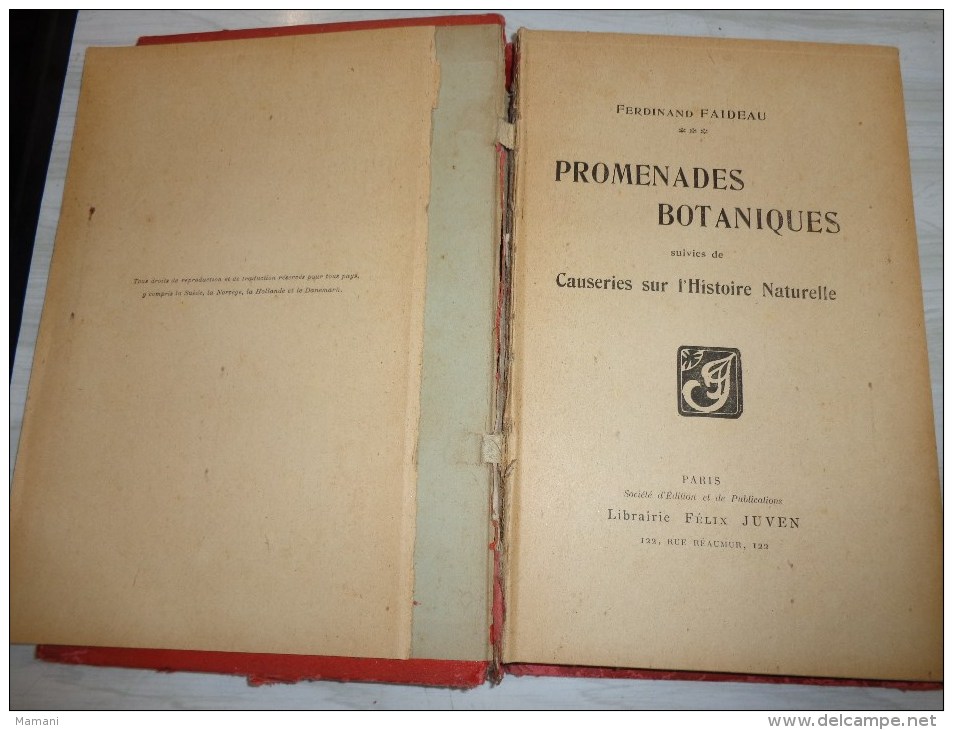 Livre De Recompense 1905-l.faideau--promenades Botaniques-houx-gui-capucine-escargots-sirex Des Sapins-apate Capucin-etc - 1901-1940