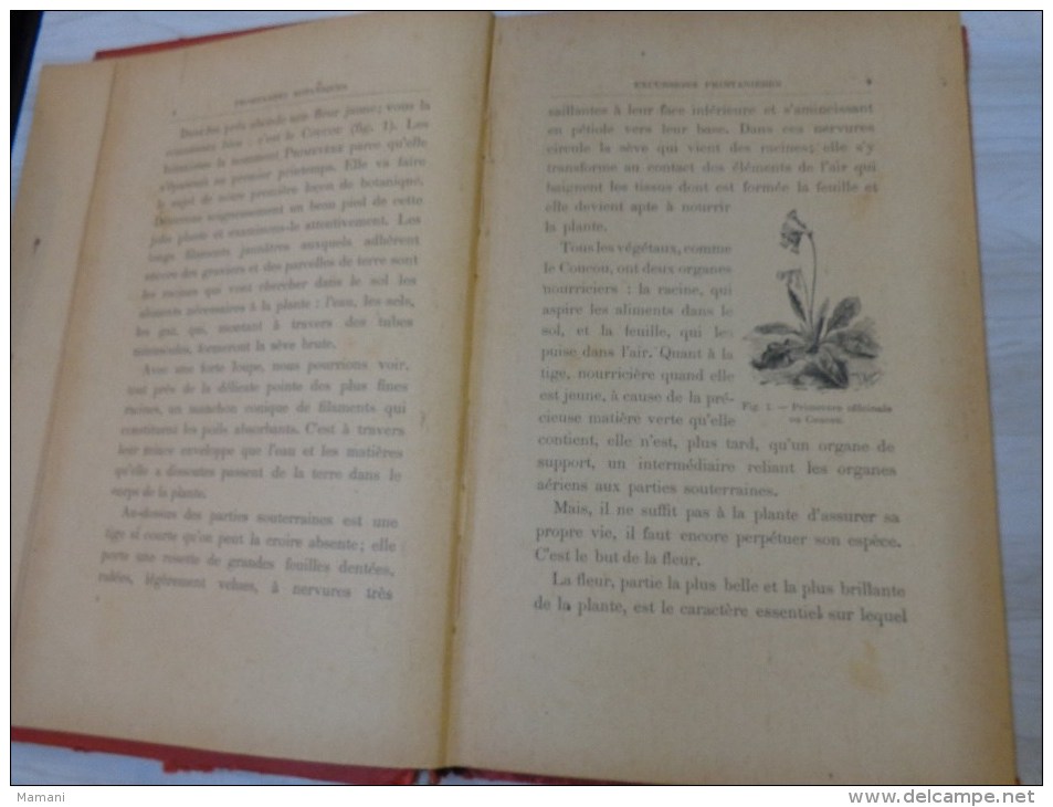 livre de recompense 1905-l.faideau--promenades botaniques-houx-gui-capucine-escargots-sirex des sapins-apate capucin-etc