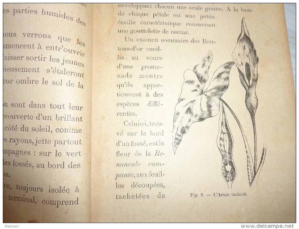 livre de recompense 1905-l.faideau--promenades botaniques-houx-gui-capucine-escargots-sirex des sapins-apate capucin-etc