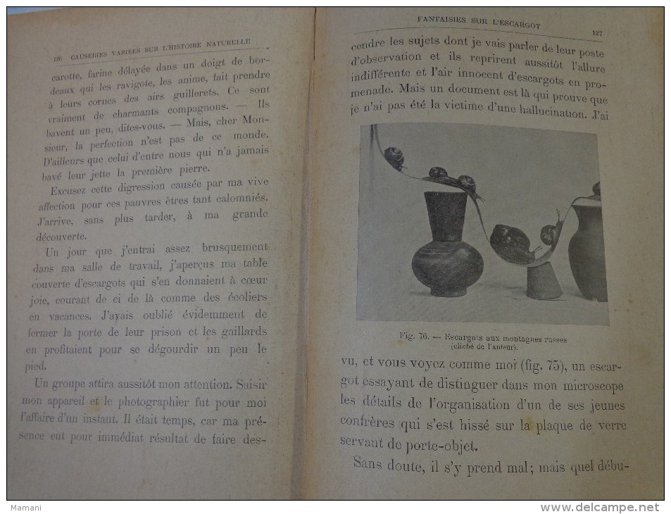 livre de recompense 1905-l.faideau--promenades botaniques-houx-gui-capucine-escargots-sirex des sapins-apate capucin-etc