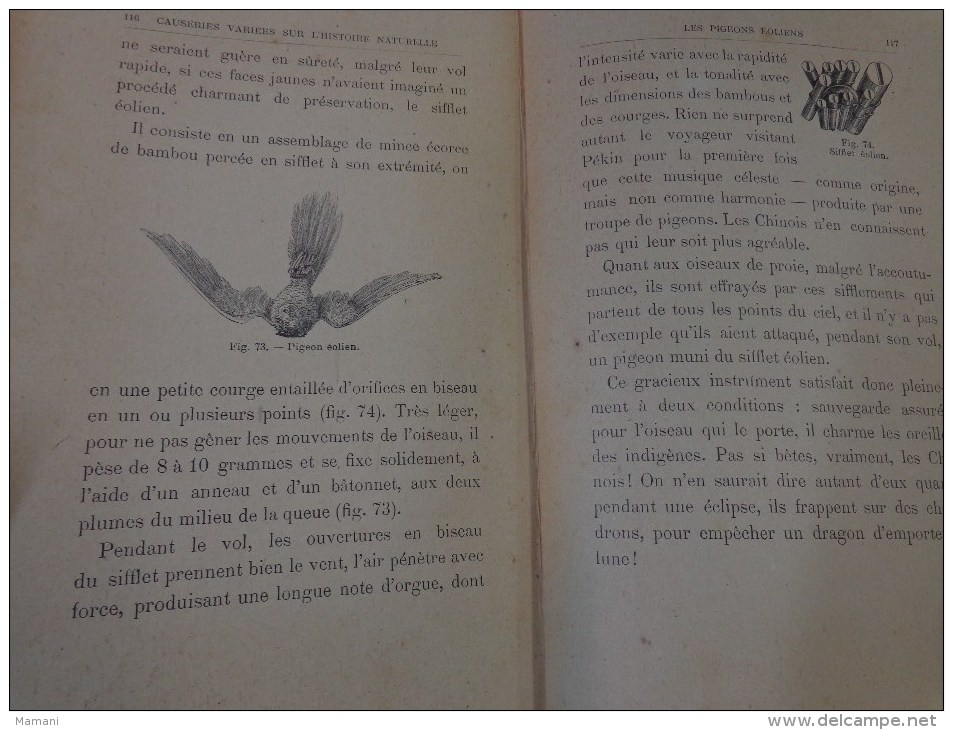livre de recompense 1905-l.faideau--promenades botaniques-houx-gui-capucine-escargots-sirex des sapins-apate capucin-etc