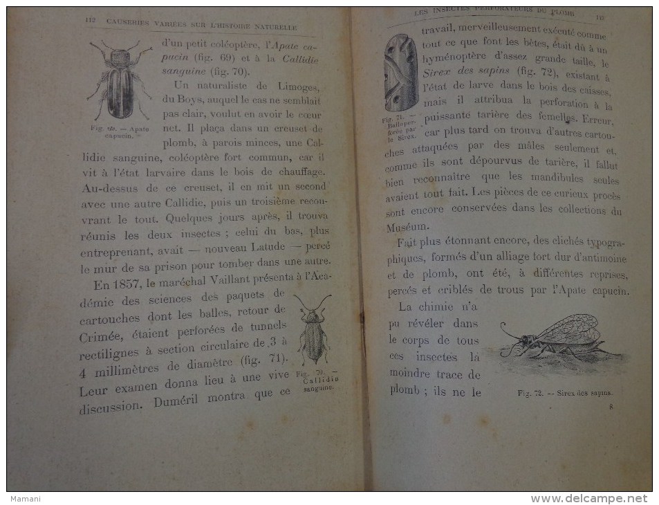 livre de recompense 1905-l.faideau--promenades botaniques-houx-gui-capucine-escargots-sirex des sapins-apate capucin-etc