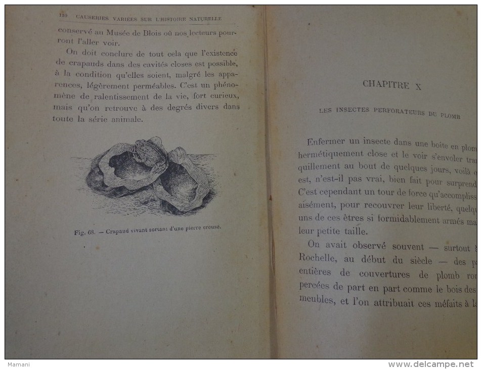 livre de recompense 1905-l.faideau--promenades botaniques-houx-gui-capucine-escargots-sirex des sapins-apate capucin-etc