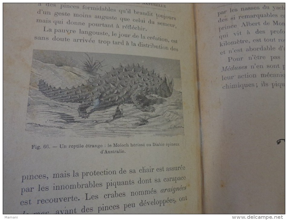 livre de recompense 1905-l.faideau--promenades botaniques-houx-gui-capucine-escargots-sirex des sapins-apate capucin-etc