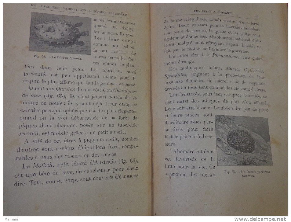 livre de recompense 1905-l.faideau--promenades botaniques-houx-gui-capucine-escargots-sirex des sapins-apate capucin-etc