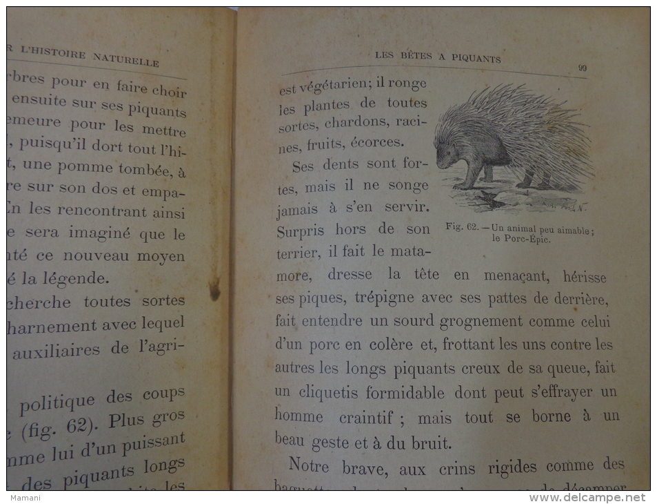 livre de recompense 1905-l.faideau--promenades botaniques-houx-gui-capucine-escargots-sirex des sapins-apate capucin-etc