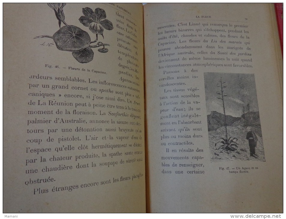 livre de recompense 1905-l.faideau--promenades botaniques-houx-gui-capucine-escargots-sirex des sapins-apate capucin-etc