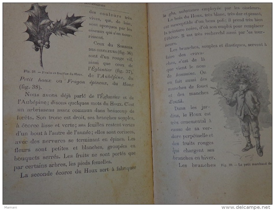 livre de recompense 1905-l.faideau--promenades botaniques-houx-gui-capucine-escargots-sirex des sapins-apate capucin-etc