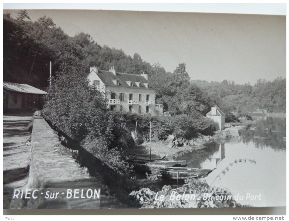 29 RIEC SUR BELON LE BELON UN COIN DU PORT - Autres & Non Classés