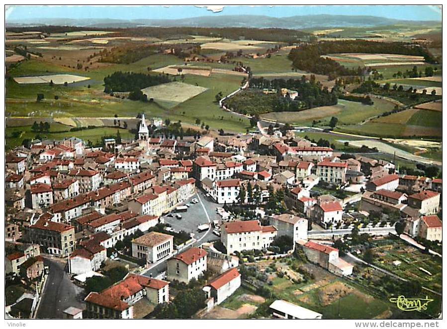 Réf : T 15 - 4691 :  SAINT DIDIER EN VELAY    VUE AERIENNE - Saint Didier En Velay