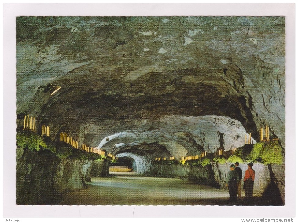 CPM SEEGROTTE - Mödling