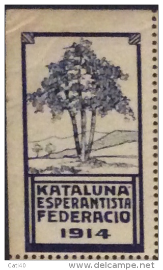 ESPERANTO - ERINNOFILO KATALUNA ESPERANTISTA FEDERACIO 1914 - Esperanto