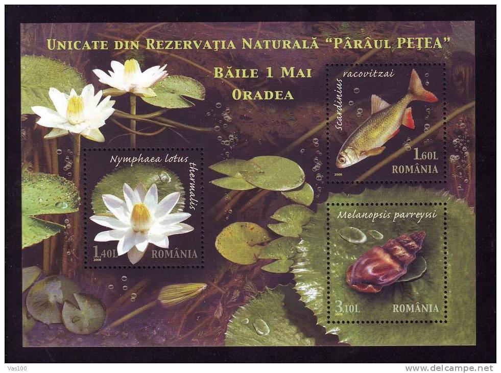Fish Thermal Water Lily Snail Mollusk MNH 2008 Romania - Ongebruikt
