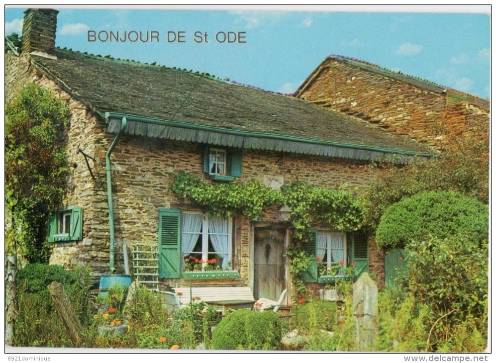 BONJOUR DE SAINTE - ODE - Les Ardennes Pittoresques - Sainte-Ode