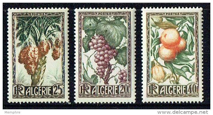 1950  Raisins, Dates, Oranges Et Citrons Yv 279-281 * - Neufs