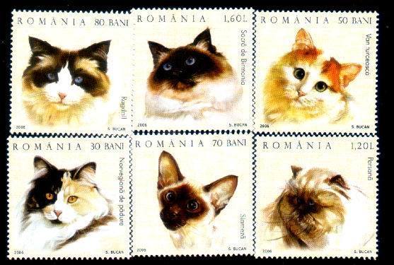 Romania  2006 Complete Sets Cats Mint/neuf,MNH,small Price, Face Value !!!. - Neufs