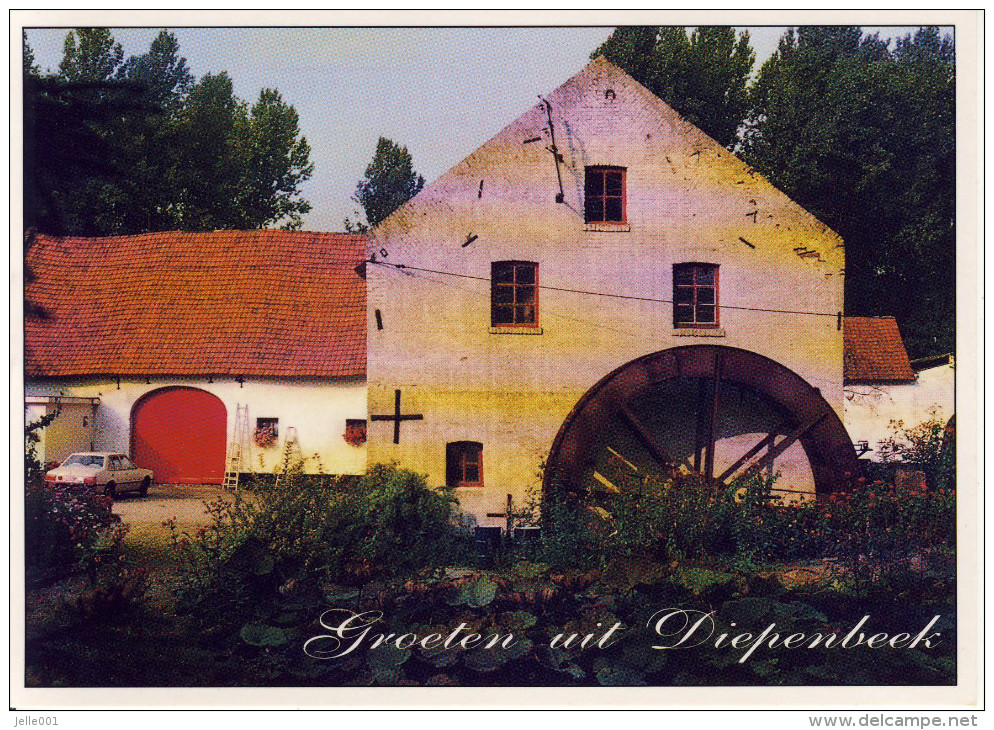 Groeten Uit Diepenbeek Sapitel Molen - Borgloon