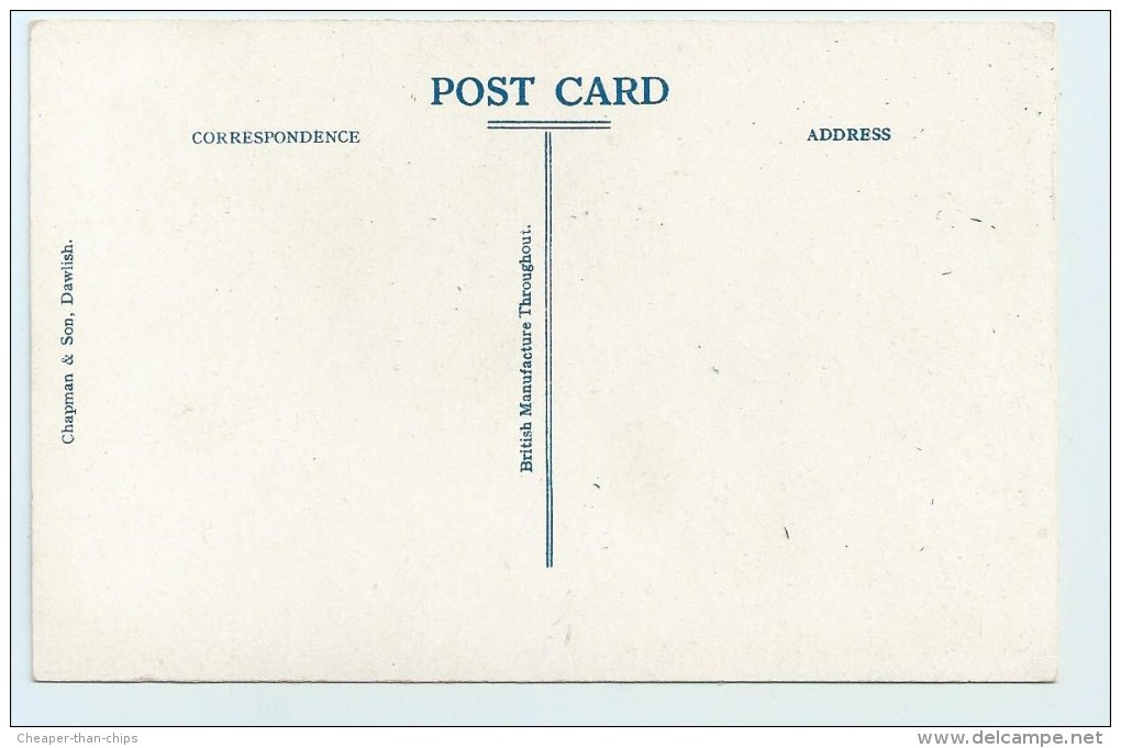 Fingle Bridge - Chapman - Other & Unclassified