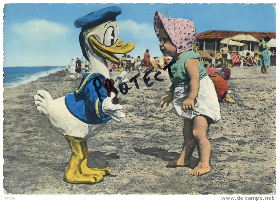 Disney :  Incontro Con Paperinoi - Donald Duck ( Written Card With Stamp Cattolica Forli  1962 Format 15 X 10 Cm ) - Autres & Non Classés