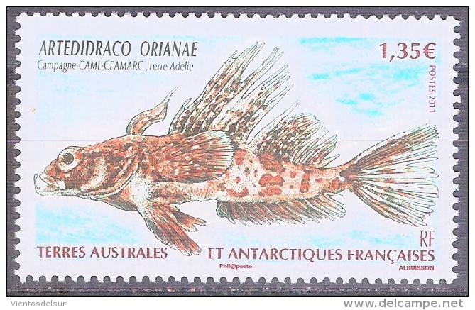 TAAF - FRENCH ANTARCTIC - Fish - MNH - Unused Stamps