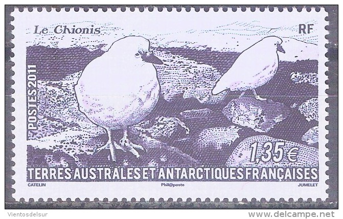 TAAF - FRENCH ANTARCTIC - Birds - MNH - Ongebruikt