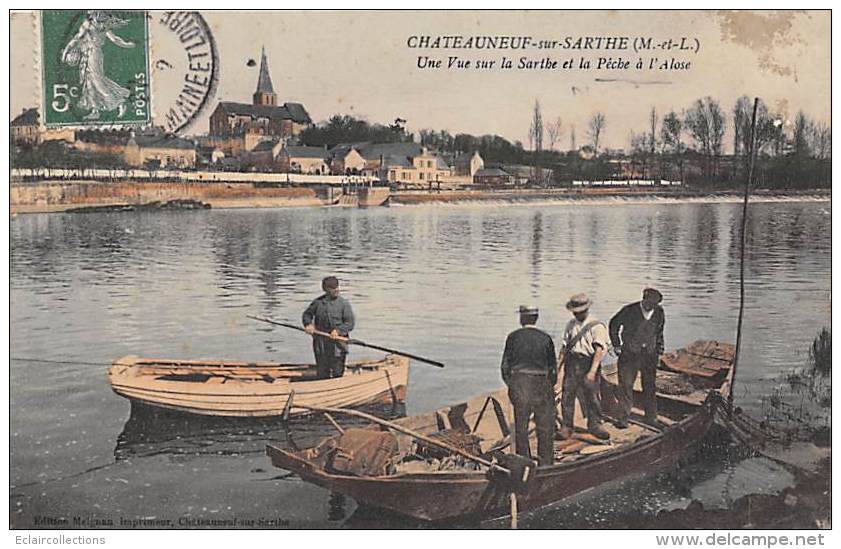 Chateauneuf Sur Sarthe        49        La Pêche A L'alose - Chateauneuf Sur Sarthe