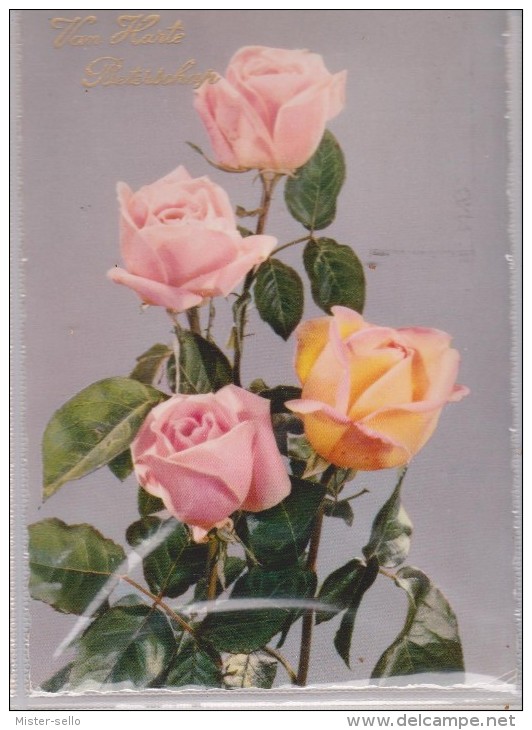 ROSAS - ROSES. CIRCULADA HOLANDA. USADO - USED. - Flores