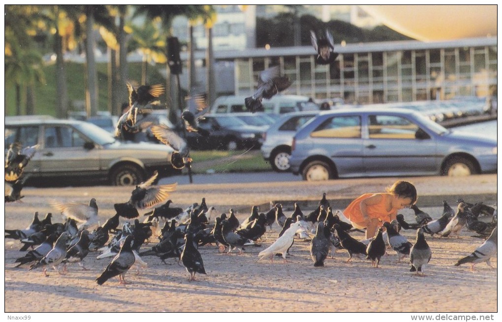 Brazil - Pigeons At Three Powers Plaza, Brasilia, China's Postcard - Brasilia