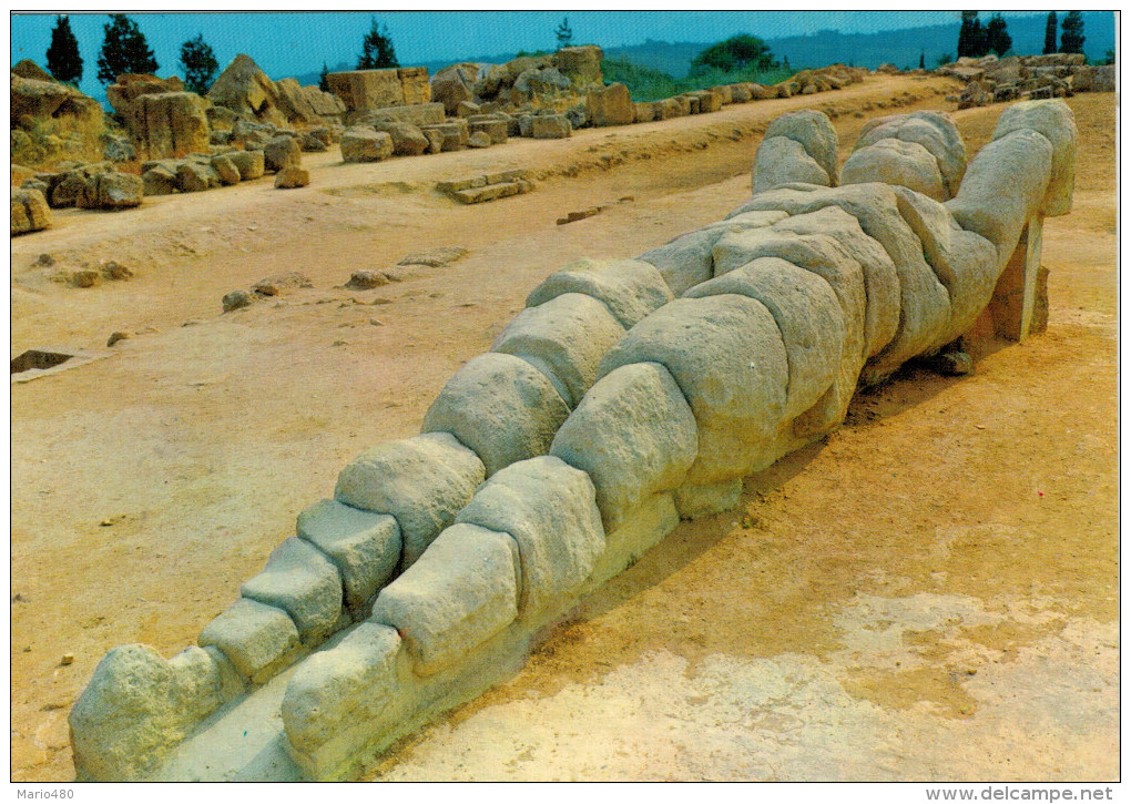 RESTI  DEL  TALAMONE DEL TEMPIO DI  GIOVE       (NUOVA) - Agrigento