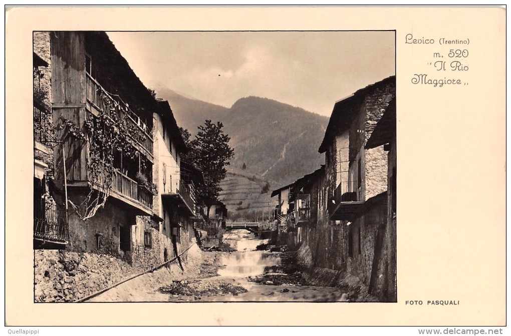 03511 "(TRENTO) LEVICO M. 520 - IL RIO MAGGIORE" FOTO PASQUALI. CART.  SPED. 1938 - Trento