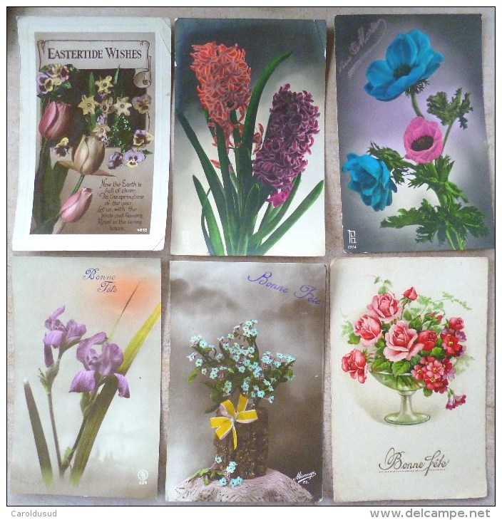 Lot 6 X Cp Photo Fleurs Jardin Rose Jacinthe Iris Myosotis Anemones Timbre Belgique - Collections & Lots