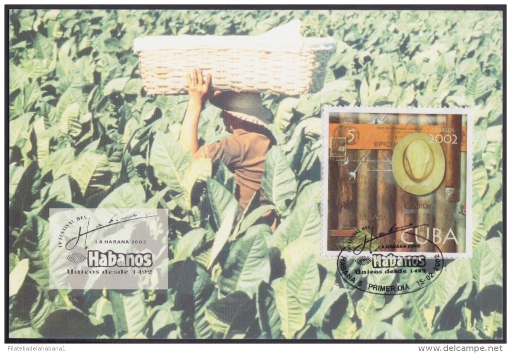 TMA-28 CUBA 2002. TARJETA MAXIMA FESTIVAL DEL HABANO TABACO TOBACCO. - Cartes-maximum