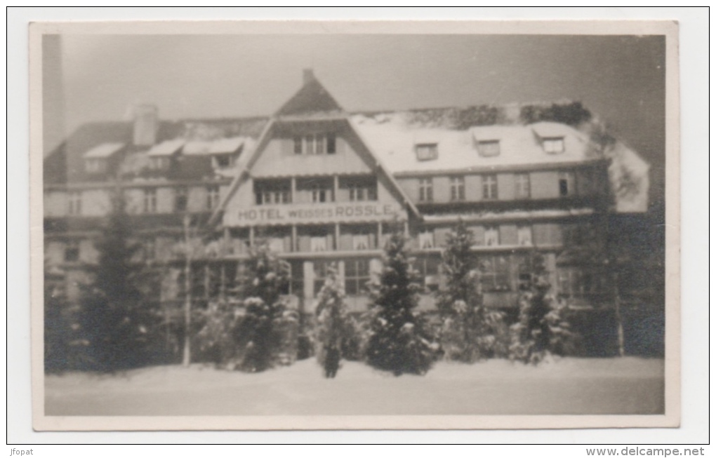 ALLEMAGNE - HINTERZARTEN Photo De L'hôtel Weisses ROSSLE - Hinterzarten