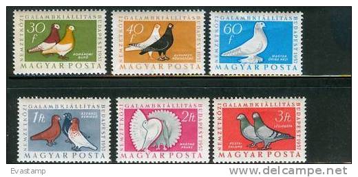 HUNGARY - 1957. Pigeons Cpl.Set MNH!! - Ungebraucht