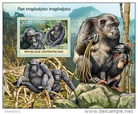 Central African Republic. 2012 Chimpanzee. (201b) - Chimpanzés