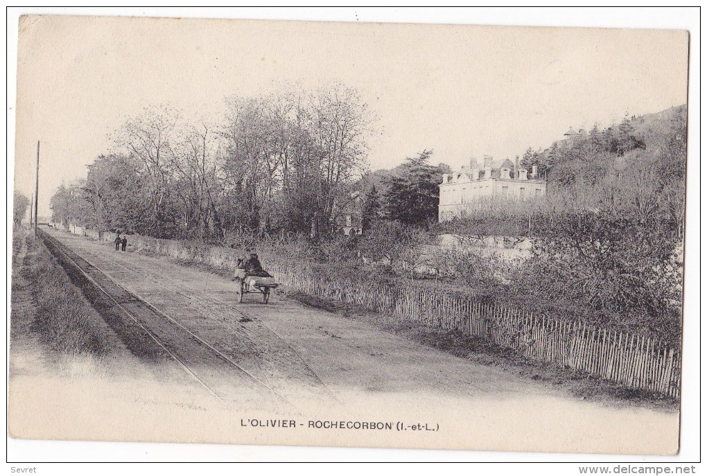 ROCHECORBON-     L'Olivier . Carte Rare. - Rochecorbon