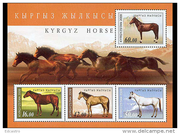KYRGYZSTAN 2009 Kyrgyz Horse - Kyrgyzstan
