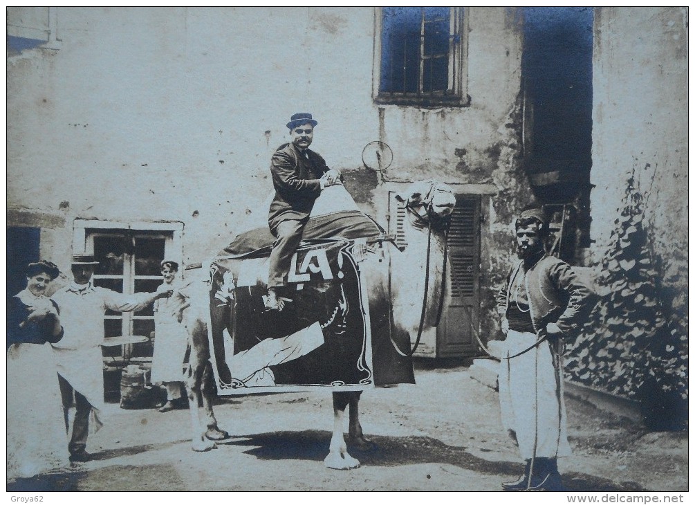 2 PHOTOGRAPHIES: PUBLICITE "CIRAGE ECLA" Chameau  Zouave Et Scène De Marché - Métiers