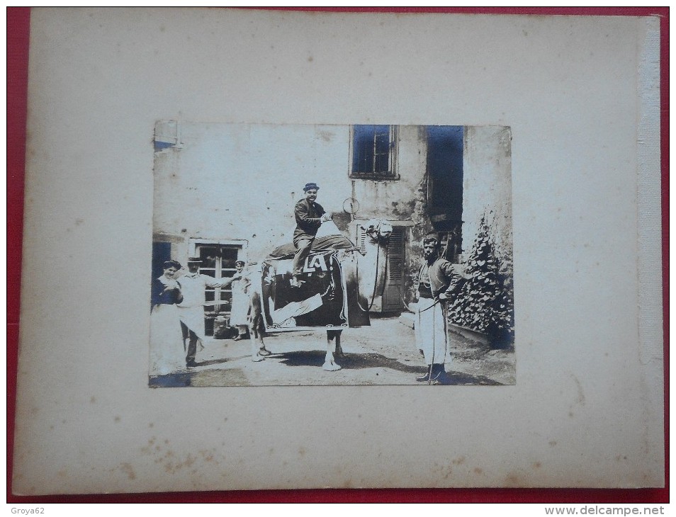 2 PHOTOGRAPHIES: PUBLICITE "CIRAGE ECLA" Chameau  Zouave Et Scène De Marché - Métiers