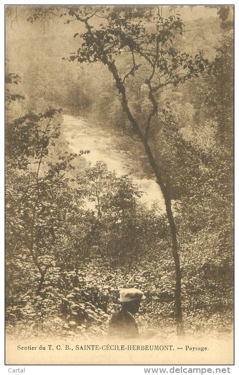 Sentier Du T.C.B., SAINTE-CECILE-HERBEUMONT - Paysage - Herbeumont