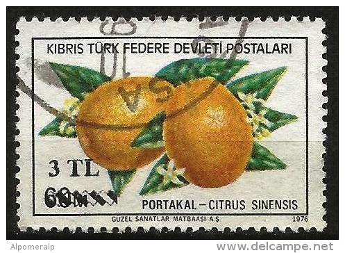 Turkish Cyprus 1979 - Mi. 68 O, Orange (Citrus Sinensis) | Fruits | Plants (Flora) | Overprint - Used Stamps