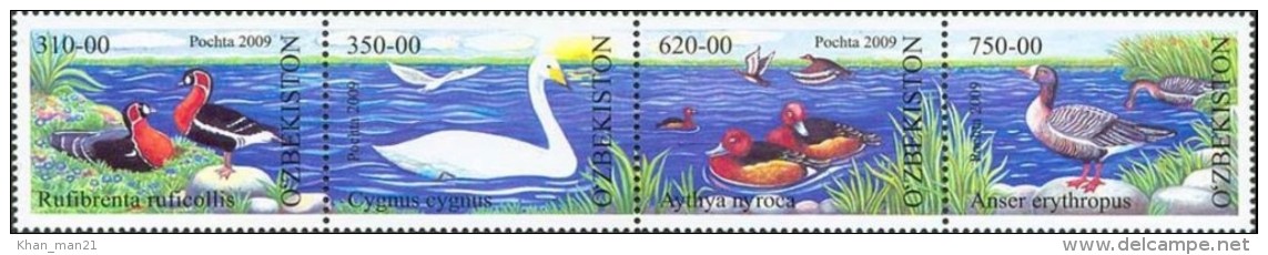 Uzbekistan, 2009,  Birds, Swan, Ducks, MNH - Ducks