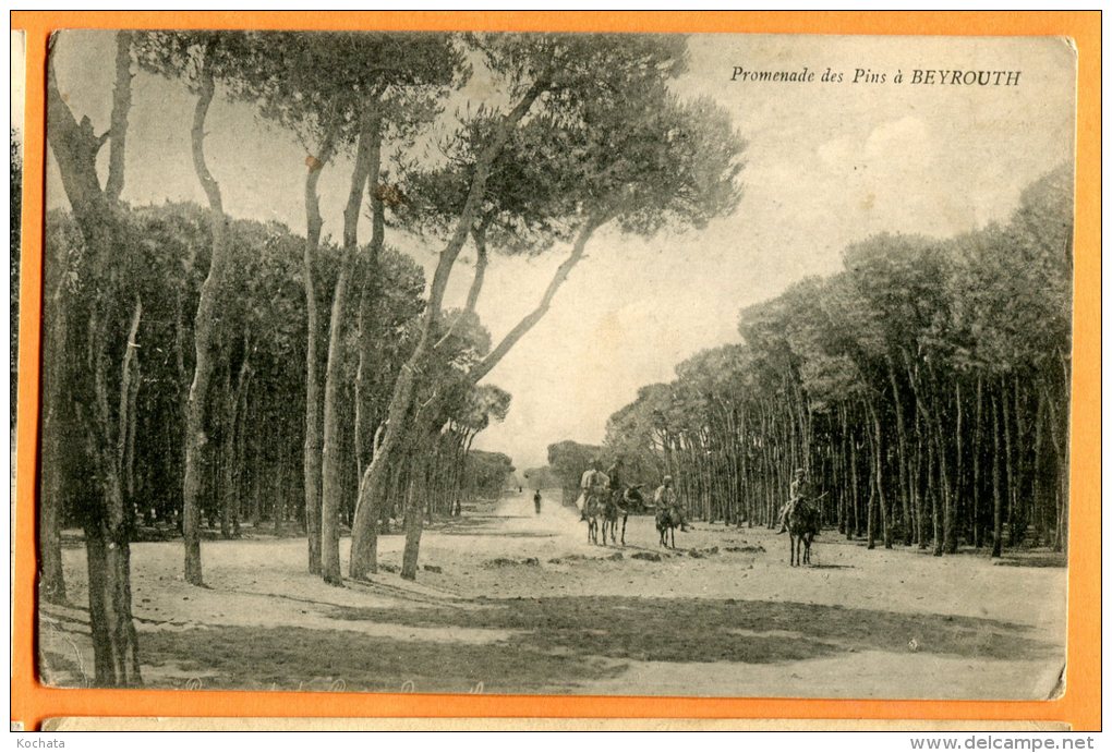 JUL185, Promenade Des Pins à Beyrouth, âne,  Animée, Circulée 1922 - Libanon