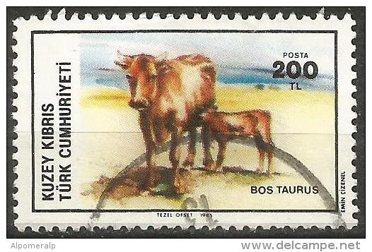 Turkish Cyprus 1985 - Mi. 163 O, Cattle (Bos Primigenius Taurus) | Animals - Used Stamps
