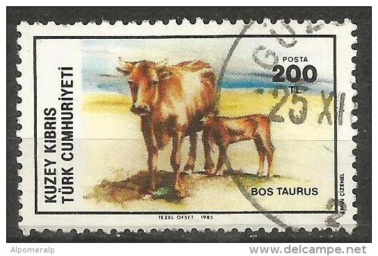 Turkish Cyprus 1985 - Mi. 163 O, Cattle (Bos Primigenius Taurus) | Animals - Used Stamps