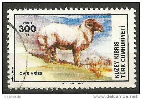 Turkish Cyprus 1985 - Mi. 164 O, Domestic Sheep (Ovis Ammon Aries) |  Animals (Fauna) | Mammals - Usati