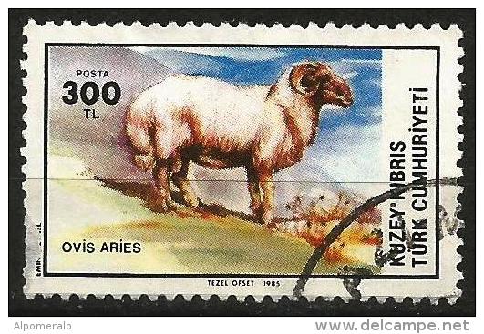 Turkish Cyprus 1985 - Mi. 164 O, Domestic Sheep (Ovis Ammon Aries) |  Animals (Fauna) | Mammals - Gebruikt