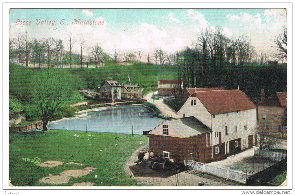 RB 1083 - 1907 Postcard - Loose Valley Lake &amp; Houses - Near Maidstone Kent - Other & Unclassified