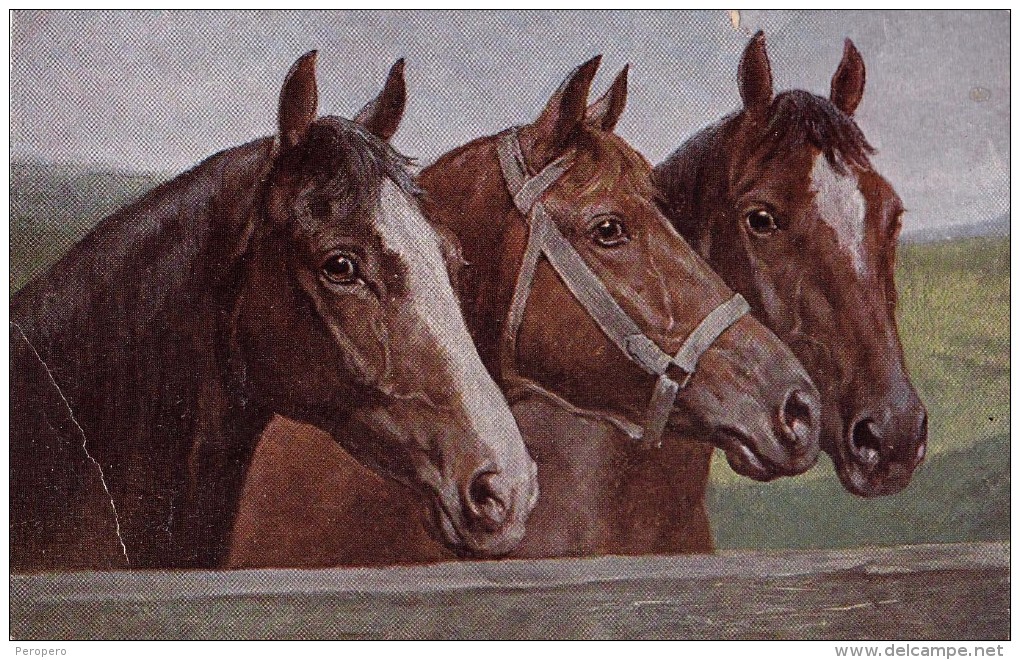 AK Künstlerkarten > PFERDE ,HORSES,T.S.N. SERIE 1282.,WIEN ,Ansichtskarten - Pferde