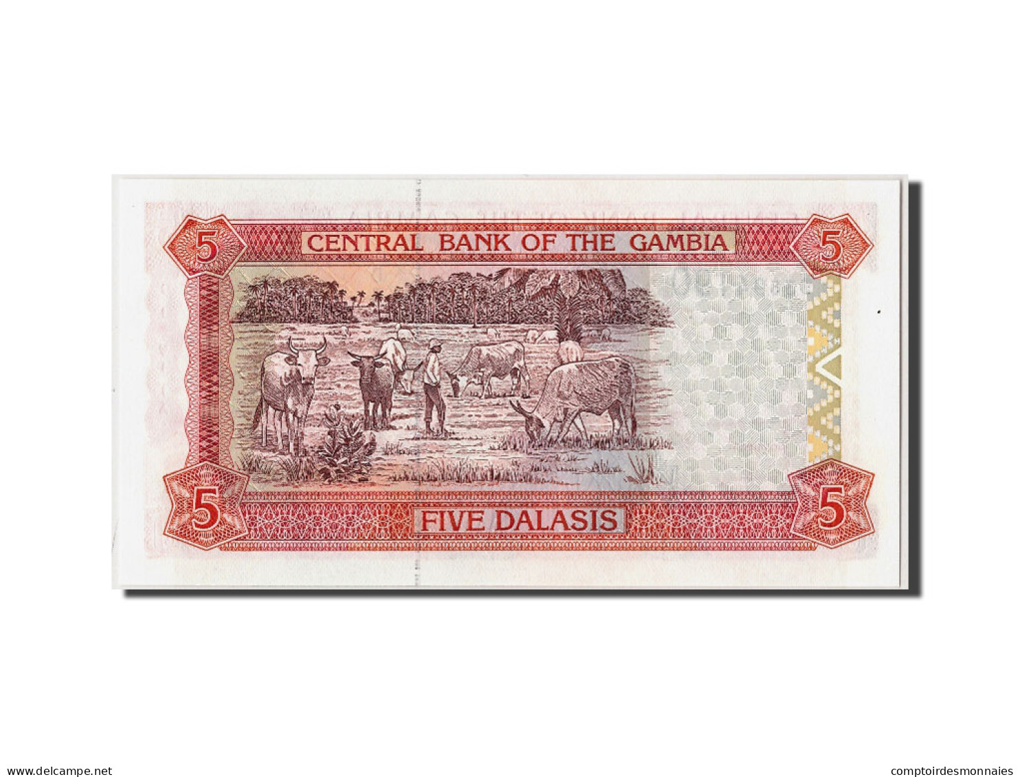 Billet, Gambia, 5 Dalasis, Undated (1996), Undated, KM:16a, NEUF - Gambie